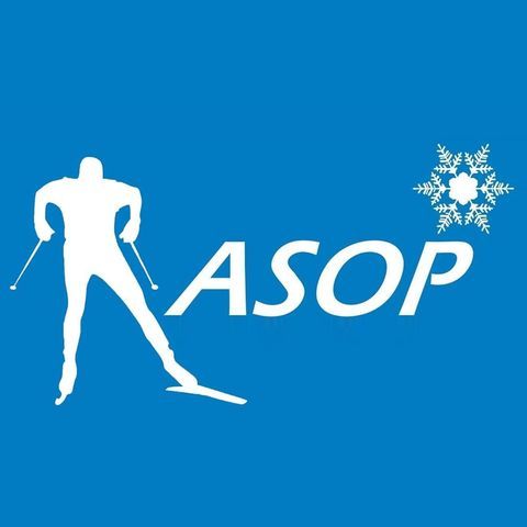 Association sportive Oye et Pallet