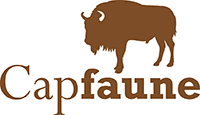 Cap Faune