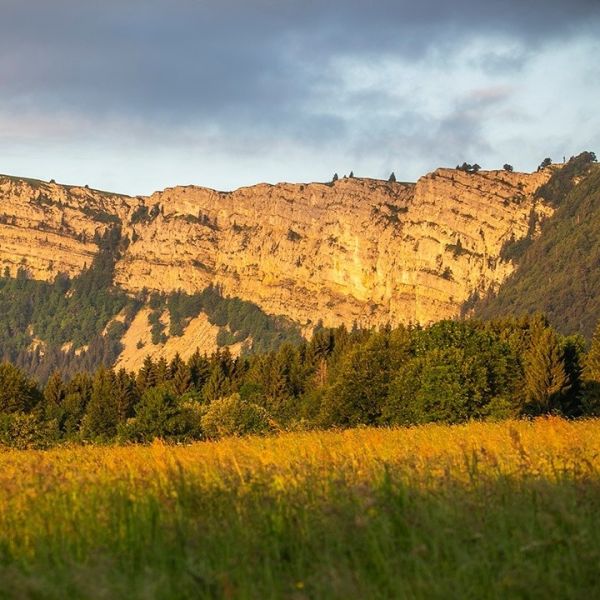 Vivre au pied du Mont d'or