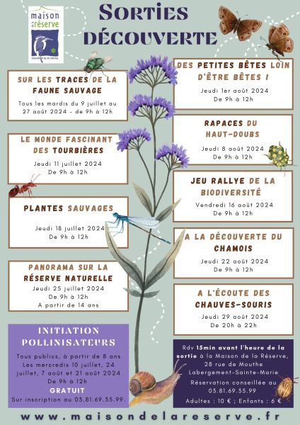 Sortie découverte - Sur les traces de la faune sauvage