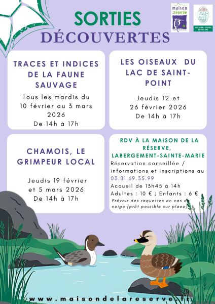 Sortie découverte - Traces et indices de la faune sauvage